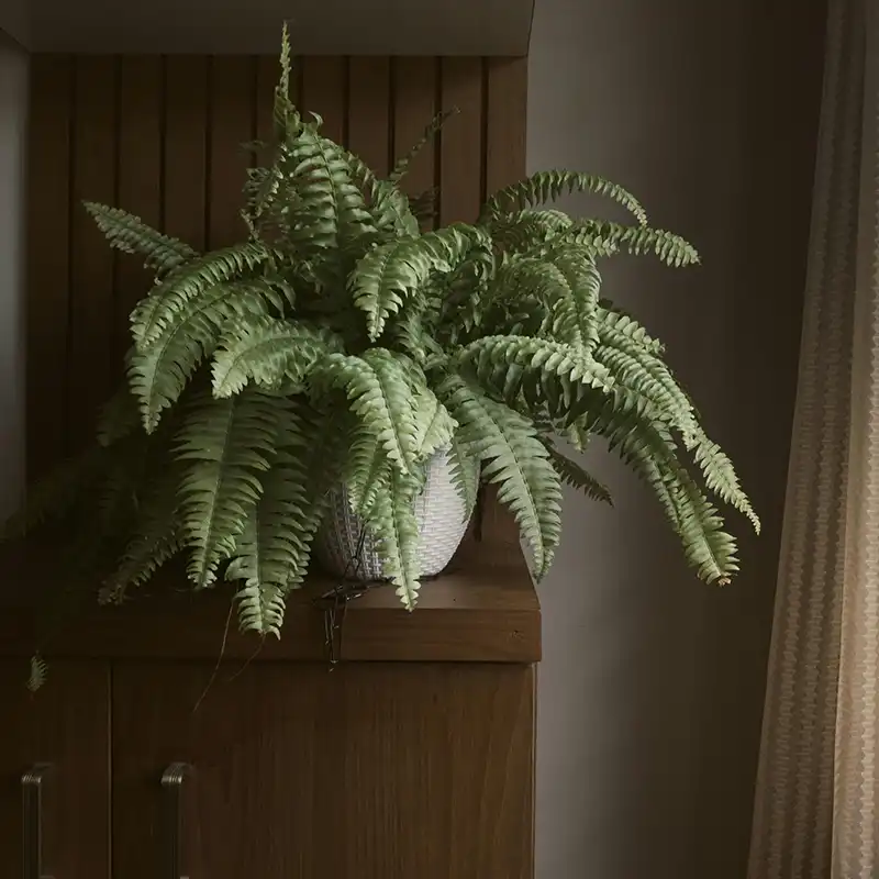 Van backpack tot bankstel: wat reizen je leert over een budget huis inrichten