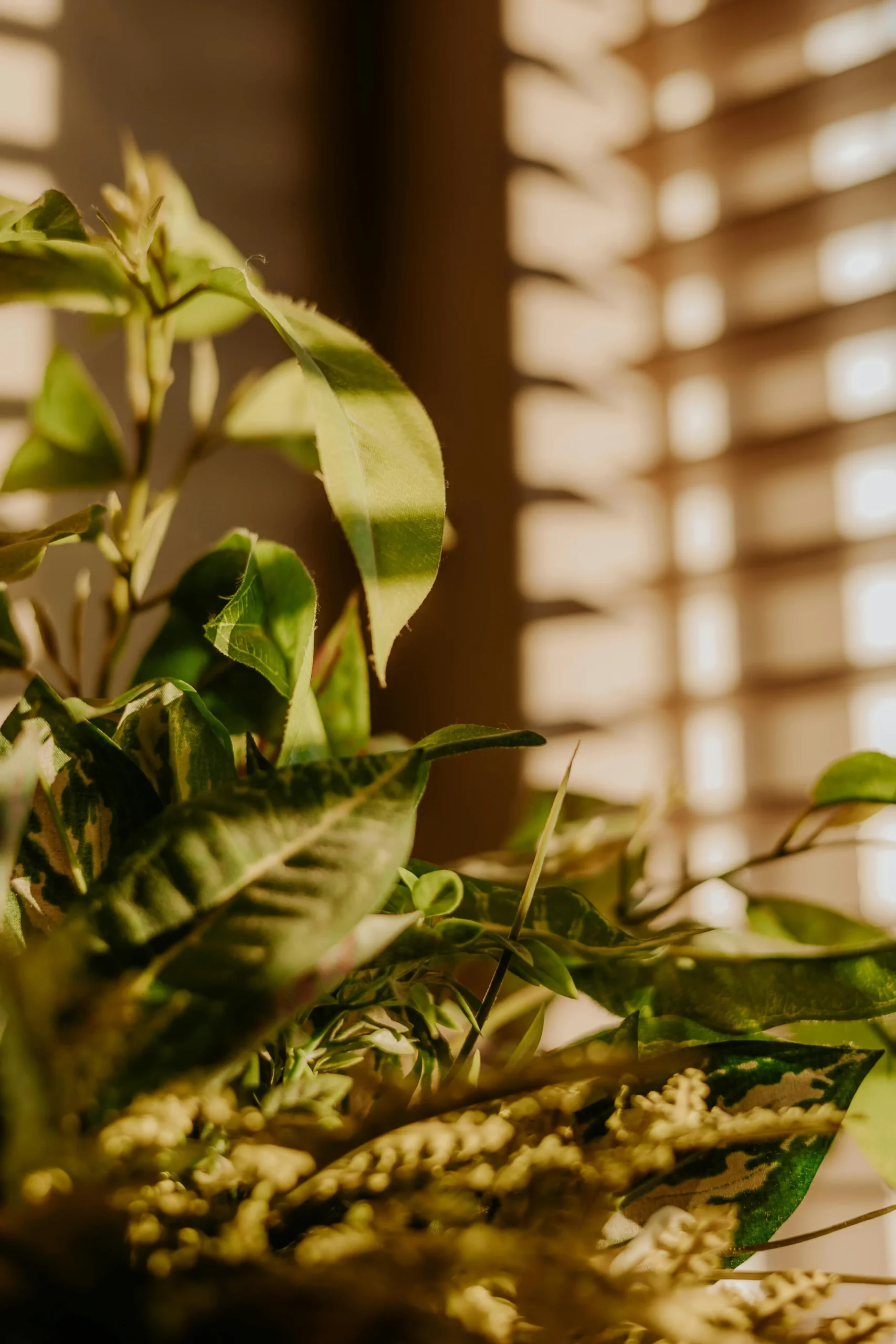 Zo kies je de beste planten voor je slaapkamer